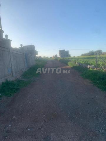 Terrain de fezouane - 2