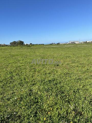 Terrain industriel à vendre - 2