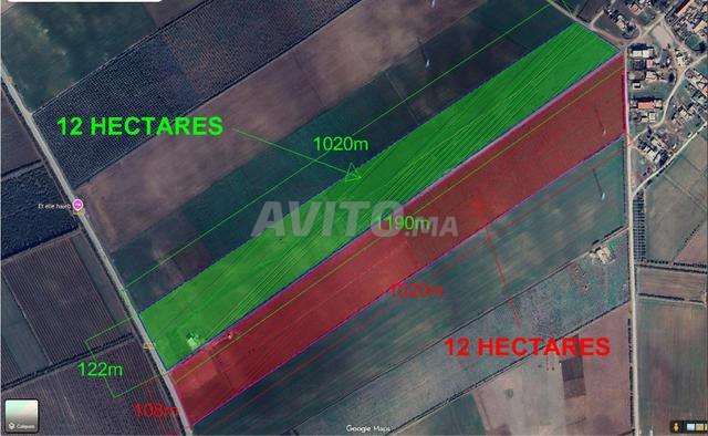 أرض للبيع 2 سندات ملكية بمساحة 12 هكتار - 2