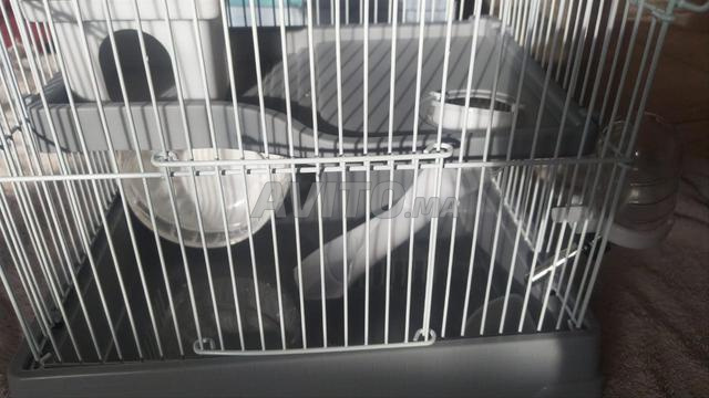 قفص هامستر - 2