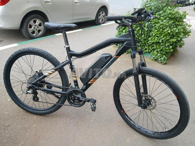 VTT Wayscral électrique - 2