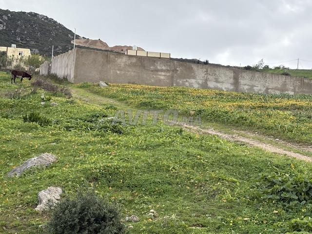 أرض للبيع - 2