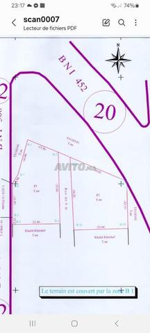 أرض 100 متر مربع في طنجة باليا شجيرات