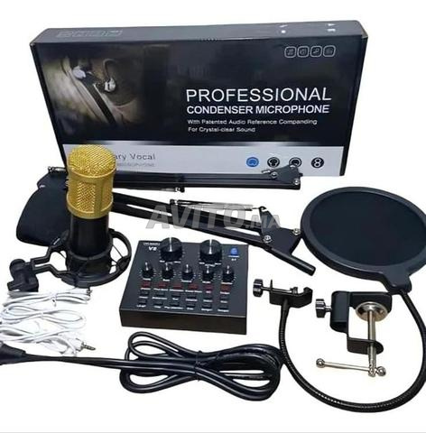 Microphone professionnel