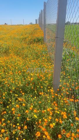 مزرعة للبيع - 2