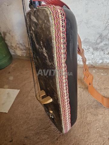 🎶 صوت التراث… نبض الروح 🎶