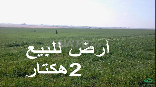 أراضي محفظة بشتوكة للبيع للفلاحة والاستثمار - 2