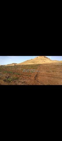 Hectares à vendre - 2