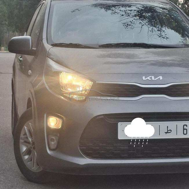 kia picanto 