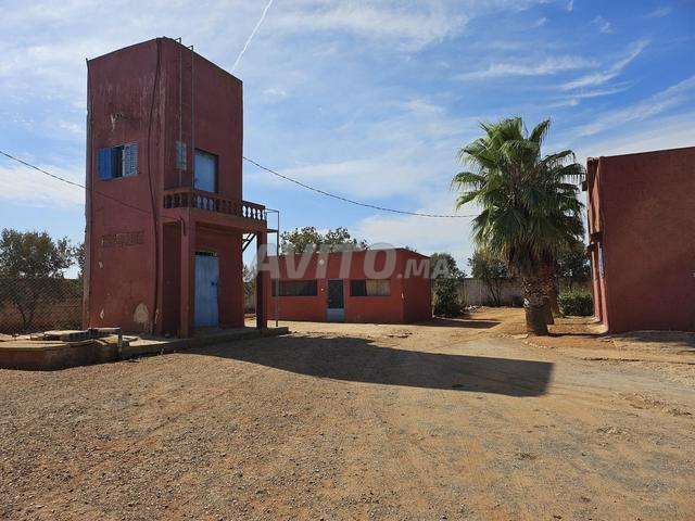 sidi yahay Ain Ribaa - 2