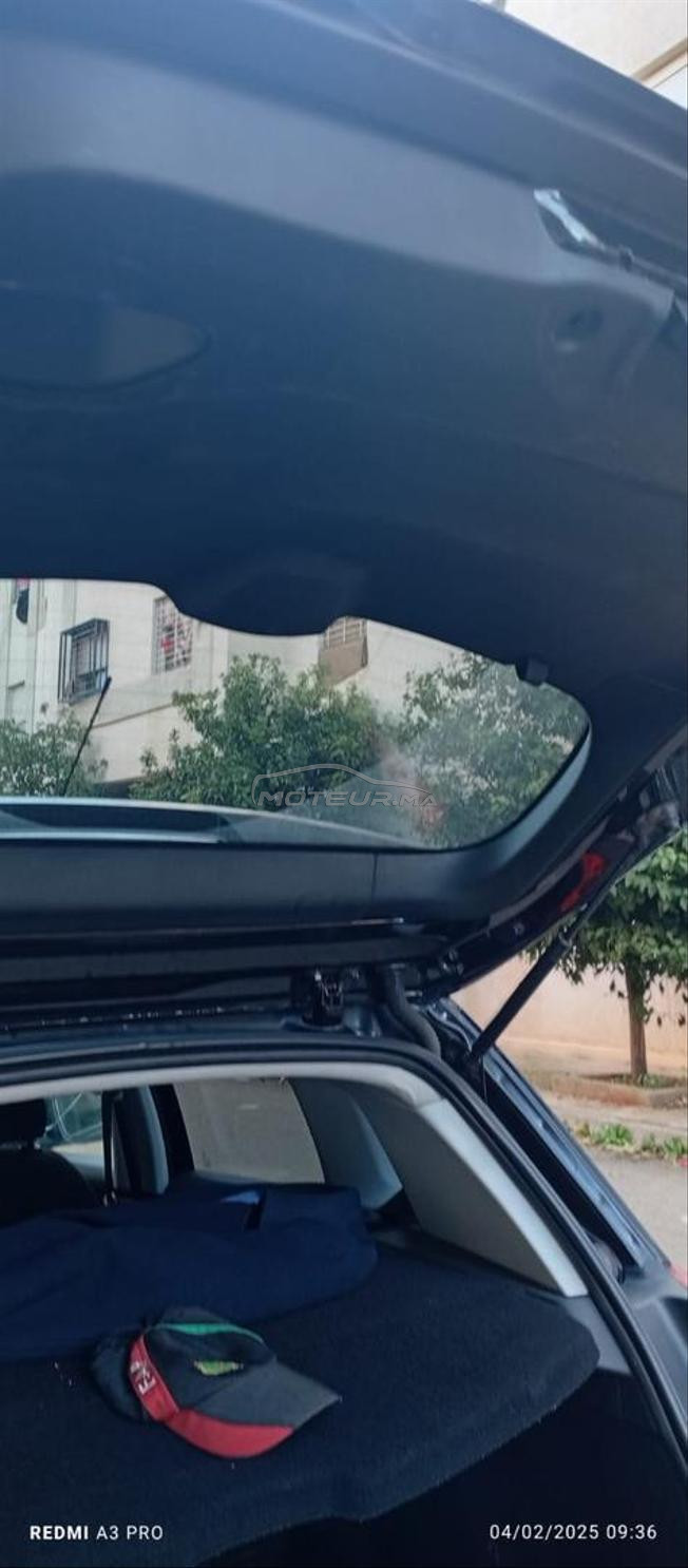  مرجان مكناس