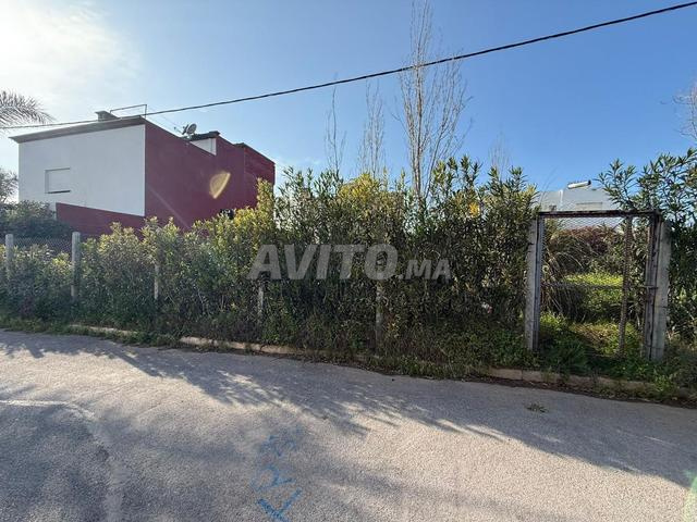 Opportunité Rare-Lot de Villa de 324m² à Beethoven - 2