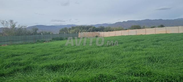 Terrain 1500m constructible agafay amskroud issen - 2