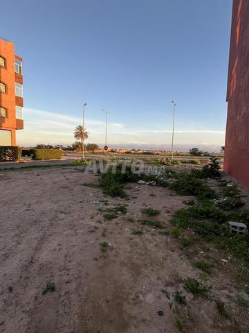 Terrain titré façade rue 110m– Oulad Teima - 2