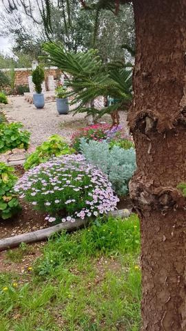 منزل للإيجار في بوزمور سيدي كاوكي