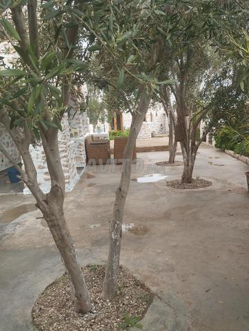 Maison à louer à Bouzemour Sidi Kaouki