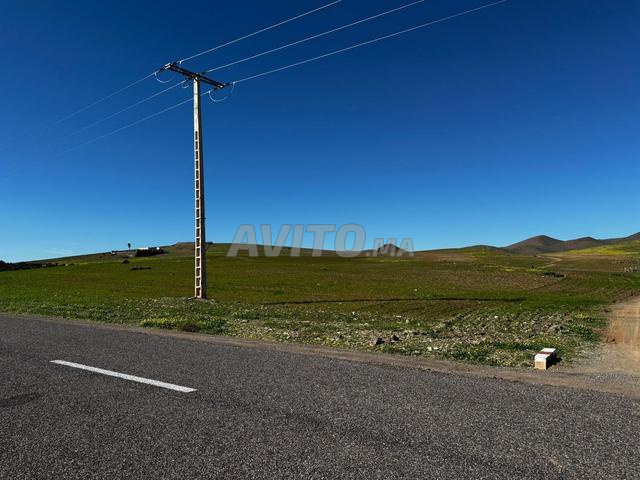 Terrain titré 2.6 hectares Route de SidiBouOthmane - 2