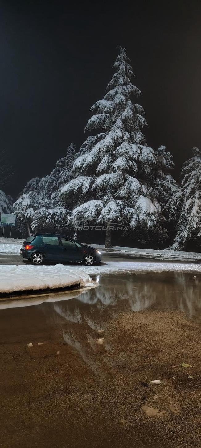 Peugeot 307 essence modèle 2002 8ch