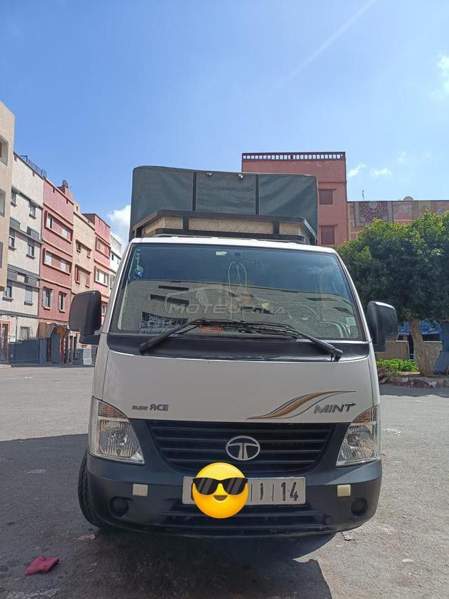 tata modil 2023 mfiha t3ayb 