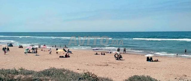 Vivez l'été toute l'année - 2