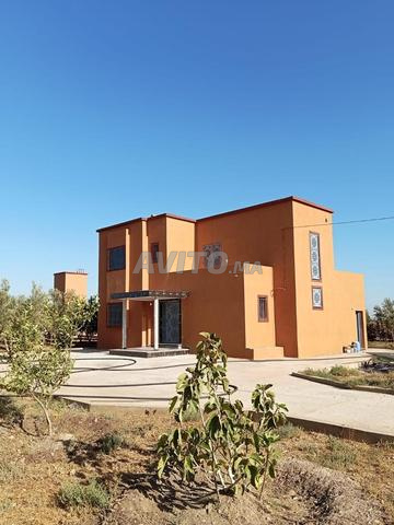 مزرعة ممتازة نواحي برشيد - 2