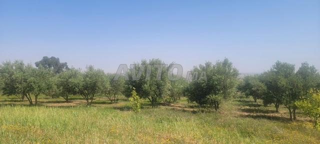 Terrain de 2750 m2 avec possibilité de construire. - 2