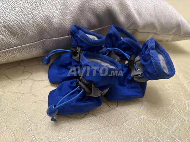 جوارب مقاومة للماء لكلب صغير