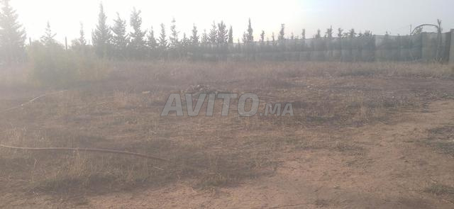 Terrain 1500 m a Skhirat - 2