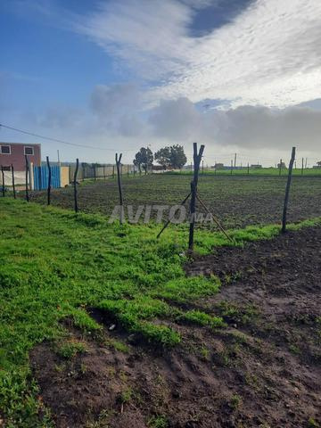 Terrain de 1500 mètres carrés Bir Jdid - 2