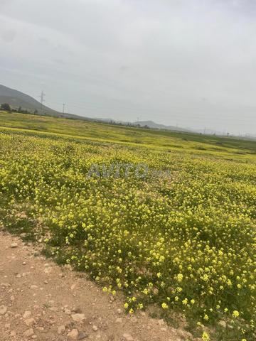 أرض للبيع - 2