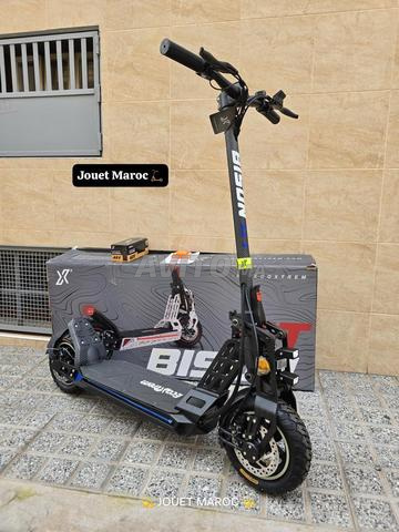 TROTTINETTE BISON GT 1000 W