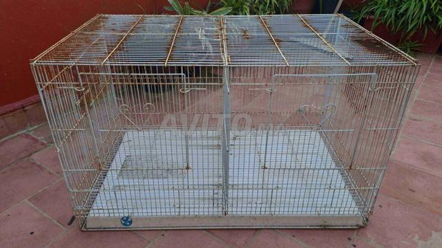 الدار البيضاء - 2