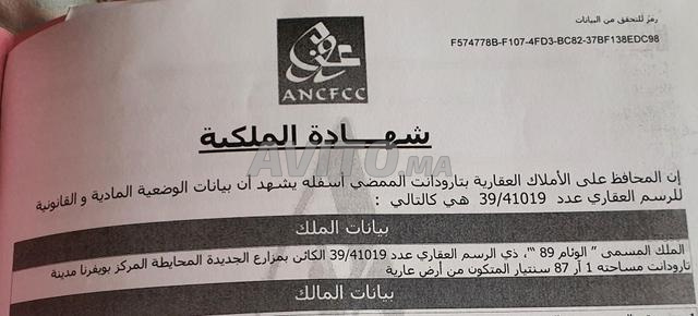 أرض مُسجلة للبيع تقع في محيطة في تارودانت.