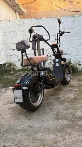 Scooters électriques de type Citycoco Luqi