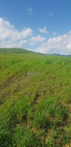 أرض للبيع تطوان