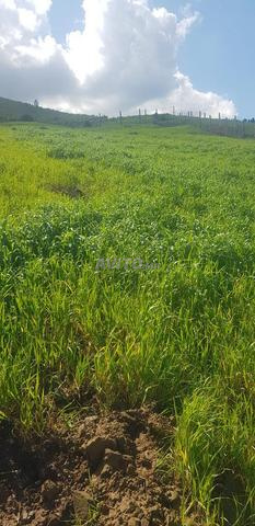 أرض للبيع تطوان