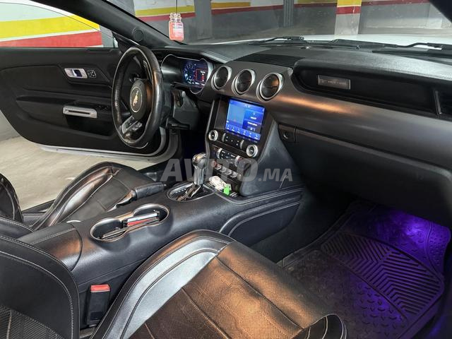 موستانج قابلة للتحويل بريميوم 2021 - 2