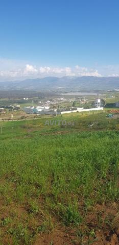 أرض للبيع قرب تطوان