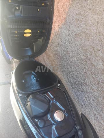 Reef moto standard - 2