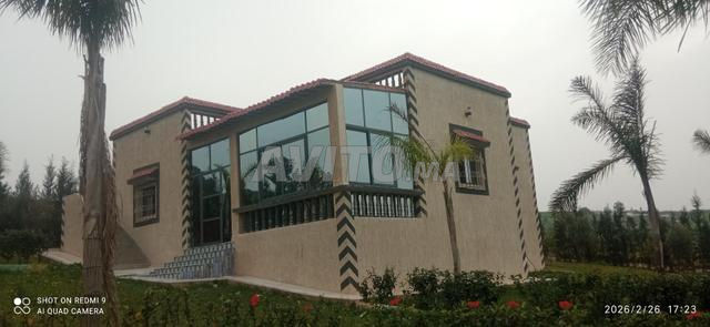 فيرما ممتازة