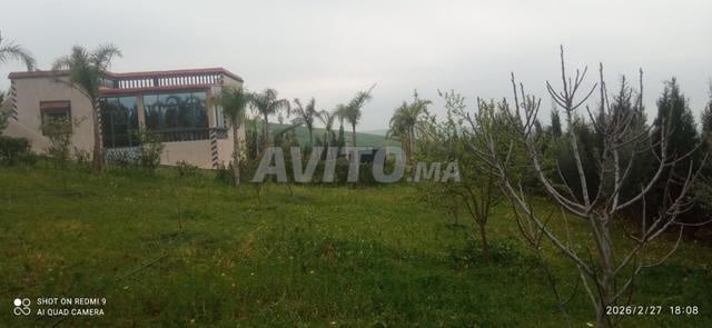 فيرما ممتازة - 2