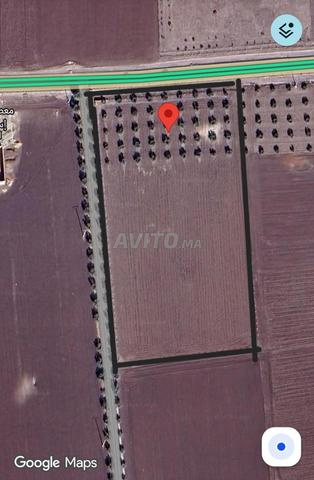 A vendre terrain de 16000m à 15km de Fès - 2
