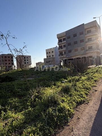 أرض للبيع - تجزئة الكوثر Lot al kawtar - 2