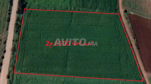 أراضٍ محفظة بالبئر الجديد للسكن والاستغلال الفلاحي - 2