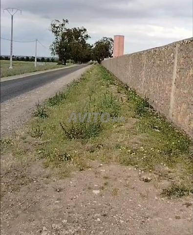 تخفيض مزرعة - 2