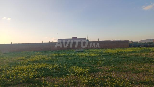 900 متر مربع - 2