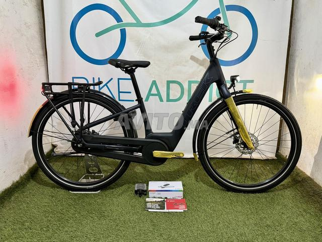 Trek District 1 Lowstep