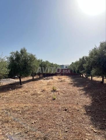 Terrain à vendre - 2