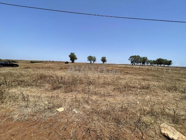 Terrain titré à 12 km d’Azmour - 2