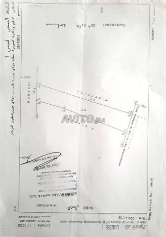 أرض موثقة على سفح البحر منطقة الصويرة - 2